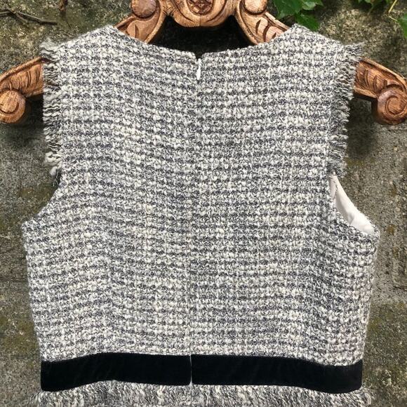 J. Crew Metallic Tweed Fringe Sheath Grey Velvet Banded Waist Knee Length 6 - Picture 6 of 12